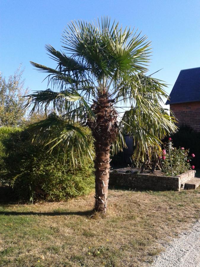 Lanneray B&B Ferme De La Rouzannerie Pour 2 Ou Famille المظهر الخارجي الصورة