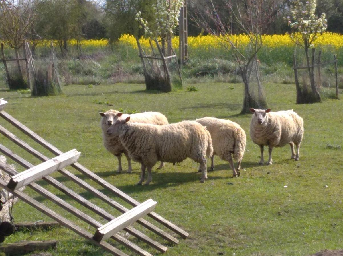 Lanneray B&B Ferme De La Rouzannerie Pour 2 Ou Famille المظهر الخارجي الصورة